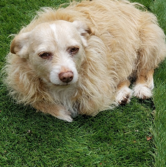 Meet your Posher, Daniel - Picture 1 of 1